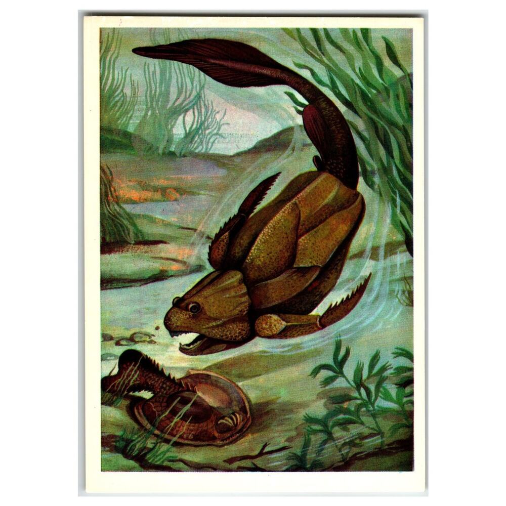 Vintage 1979 Russian Bothriolepis Placoderm Prehistoric Fish Postcard